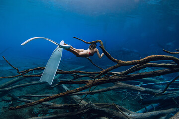 Freediver woman glides underwater with diving fins over sunken logs in the lake. Free diving in...
