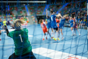 handball woman goalkeeper's back and handball match in the background.