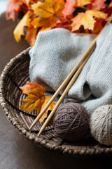 Fototapeta premium Close-Up of Knitting Needles and Yarn with Fall Leaves – Vertical Cozy Detail Shot