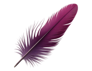 Vibrant Purple Feather on Transparent Background