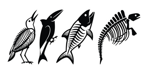 Vector Illustrations of Animal Skeletons