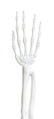a Halloween skull hand with a transparent background PNG