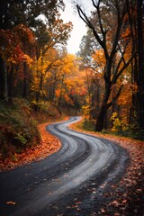 Fototapeta premium Winding through a vibrant autumn forest, a wet road meanders across the picturesque Blue Ridge Mountains in North Carolina