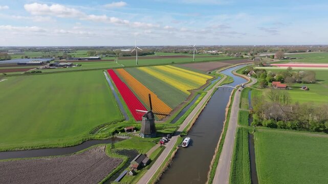 Aerial view of scenic river path with boat, tulip rows, and windmill nearby