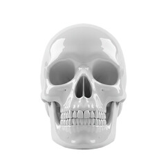 Obraz premium Clean White Human Skull 3D Rendered Model