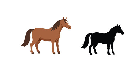 Illustration of a brown horse and a black horse on a white background