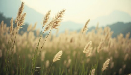 Golden reeds sway gently in a sunlit field, evoking a sense of calm and natural beauty.