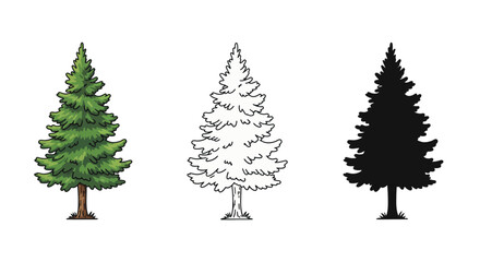 Three Pine Tree Illustrations Colored Outline and Silhouette on a White Background