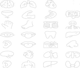 Medical Body Diagram Pack: Organs, Bones & Systems in Line Art Style | EPS + PNG