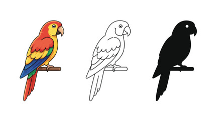 Parrot in color line art and silhouette isolated on white background