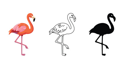 Pink Flamingo Illustration Set Color Outline Silhouette