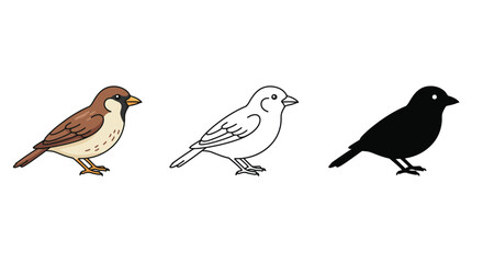 Sparrow Bird Illustrations Color Outline and Silhouette Depictions on a White Background