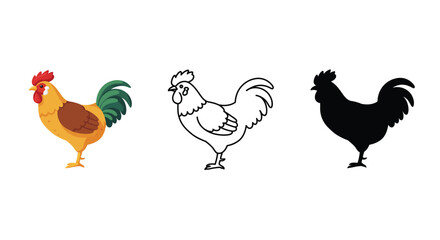 Rooster Illustration in Color Line Art and Silhouette on White Background