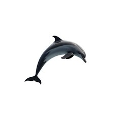 Jumping dolphin isolated on white background realistic elegant marine animal