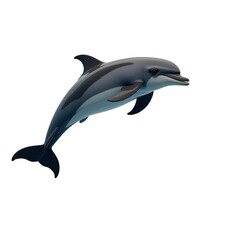 Fototapeta premium Jumping dolphin isolated on white background realistic sleek marine animal