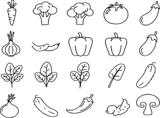 Fototapeta premium Thin Line Vegetable Vector Set - Broccoli, Potato, Onion & 12 More (EPS)