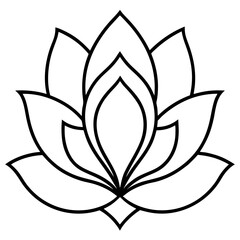 lotus flower vector