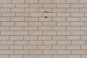 Brick wall with minor damage.