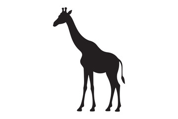Obraz premium Giraffe whimsical