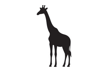 Fototapeta premium Giraffe whimsical