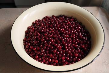 Fresh sour cherries in an enamel bowl placed on a kitchen table, close up.