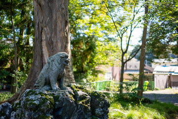 森の中の狛犬