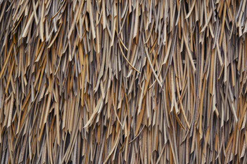 Here is a closeup photograph showing a thatched roof made entirely of straw