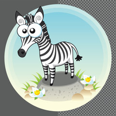  zebra vector illustration