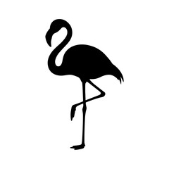 Obraz premium Black Silhouette of a Standing Flamingo