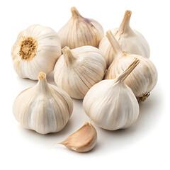 garlic on white background