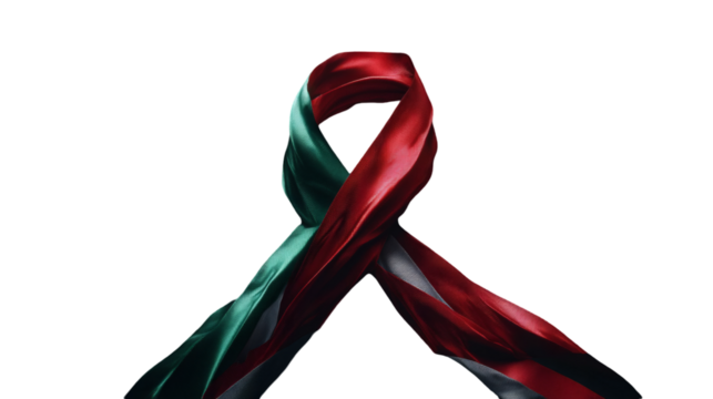 A stylized ribbon in the colors and pattern of the jordan flag forms an abstract bow shape, isolated on a transparent background