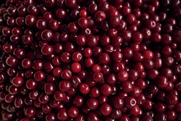Close-up view of fresh ripe sour cherries creating a textured fruit background.