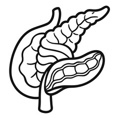 Stylized black and white illustration of the human pancreas and duodenum