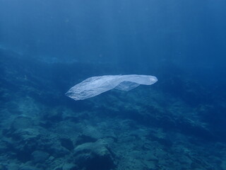 plastic bag underwater ocean pollution