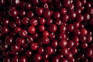Close-up view of fresh ripe sour cherries, showing natural texture and vibrant red color.