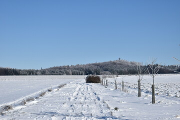 snow covered road