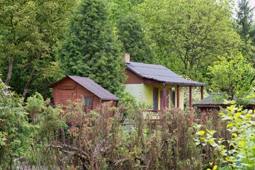 wooden house in the forest in Sosnowiec - Silesia - Poland