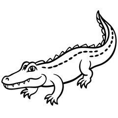 crocodile isolated on white