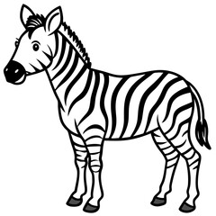zebra vector illustration