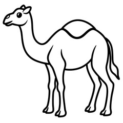 camel vector illustration