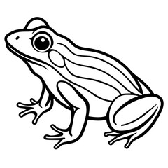 frog on white background