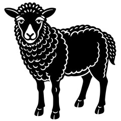 vector illustration of sheep