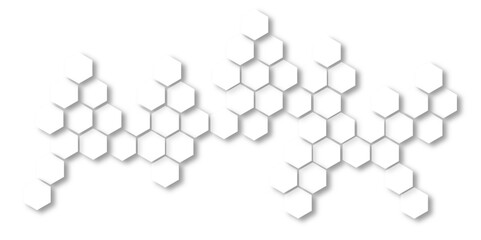 Futuristic 3D black and white hexagonal pattern wallpaper with a floral geometric design © ITS OK