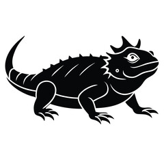 Fototapeta premium Black horned lizard silhouette reptile animal