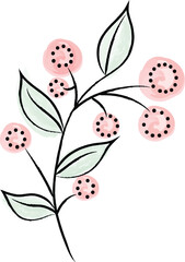 Floral Flower Line Illustration