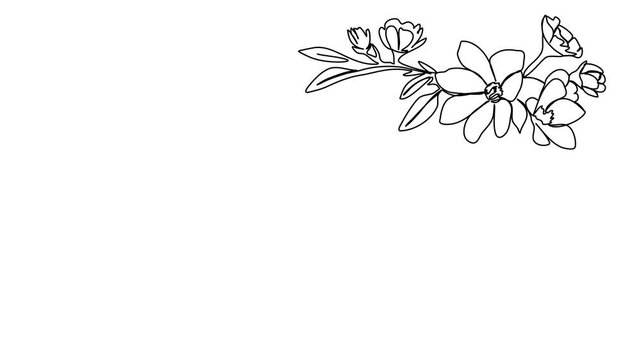 Floral corner frame, one line drawing animation. Video clip with alpha channel.