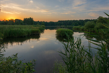 Obraz premium summer awesome sunrise over the swamp