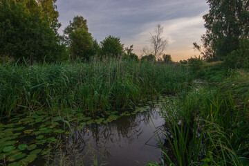 sunset over the river