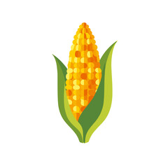 Obraz premium Yellow corn on the cob with green leaves in flat design style 