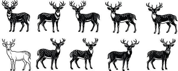  Deer vector 